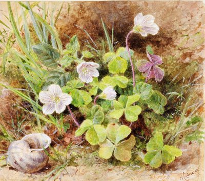 Sorrel and Shell, c.1865-74 by Helen Cordelia Coleman Angell
